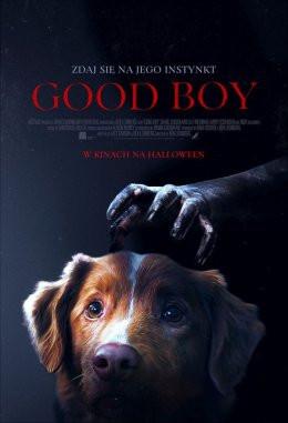 Zakopane Wydarzenie Film w kinie Good Boy